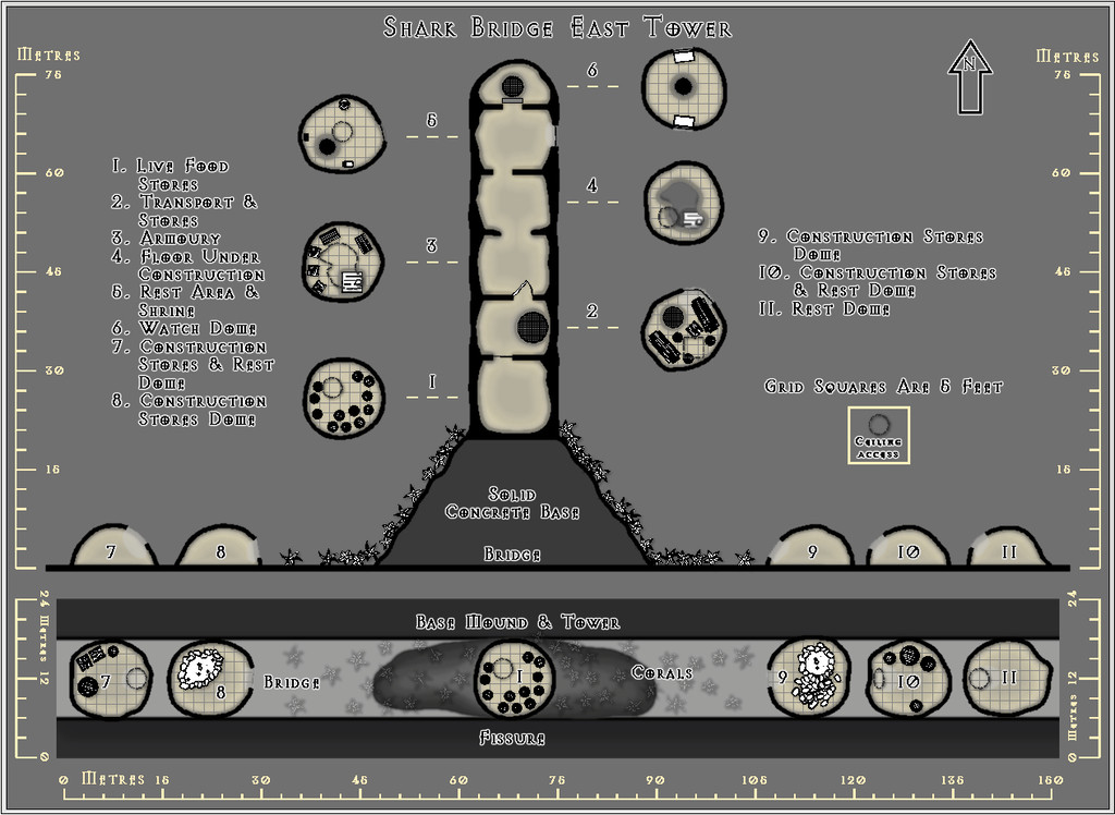 Shark Bridge - East Tower - Metric.JPG