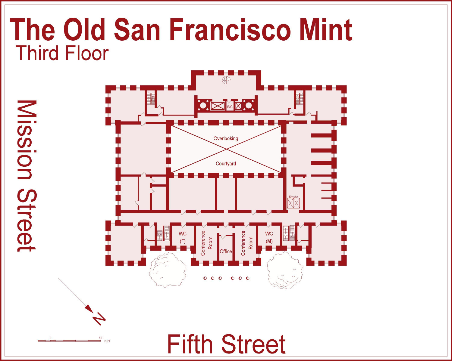 Old Mint 3 - No Grid.JPG