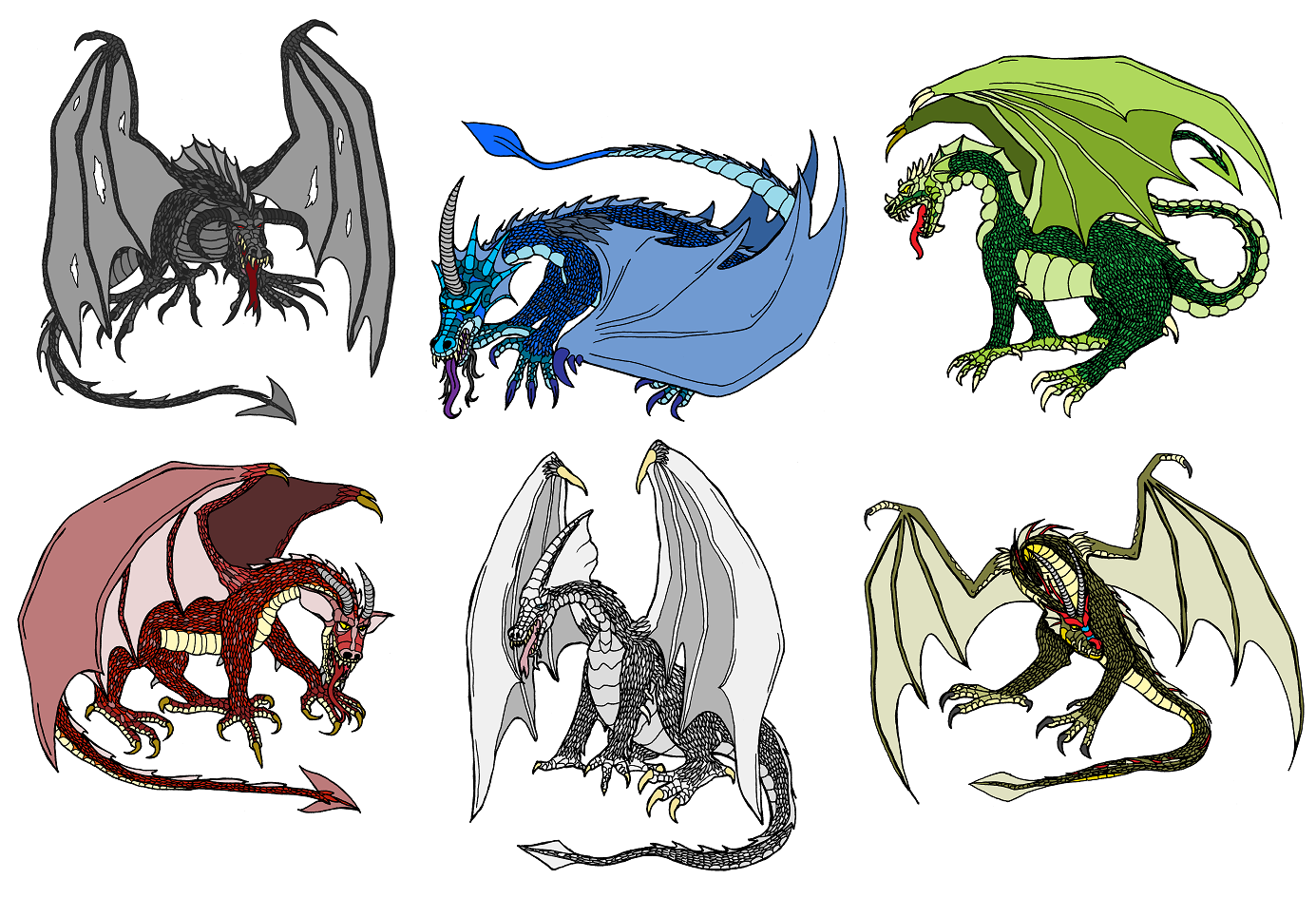 Драконы какой породы. Классификация драконов ВИВЕРН. Драконология ВИВЕРН. Подвиды драконов. Телосложение драконов.