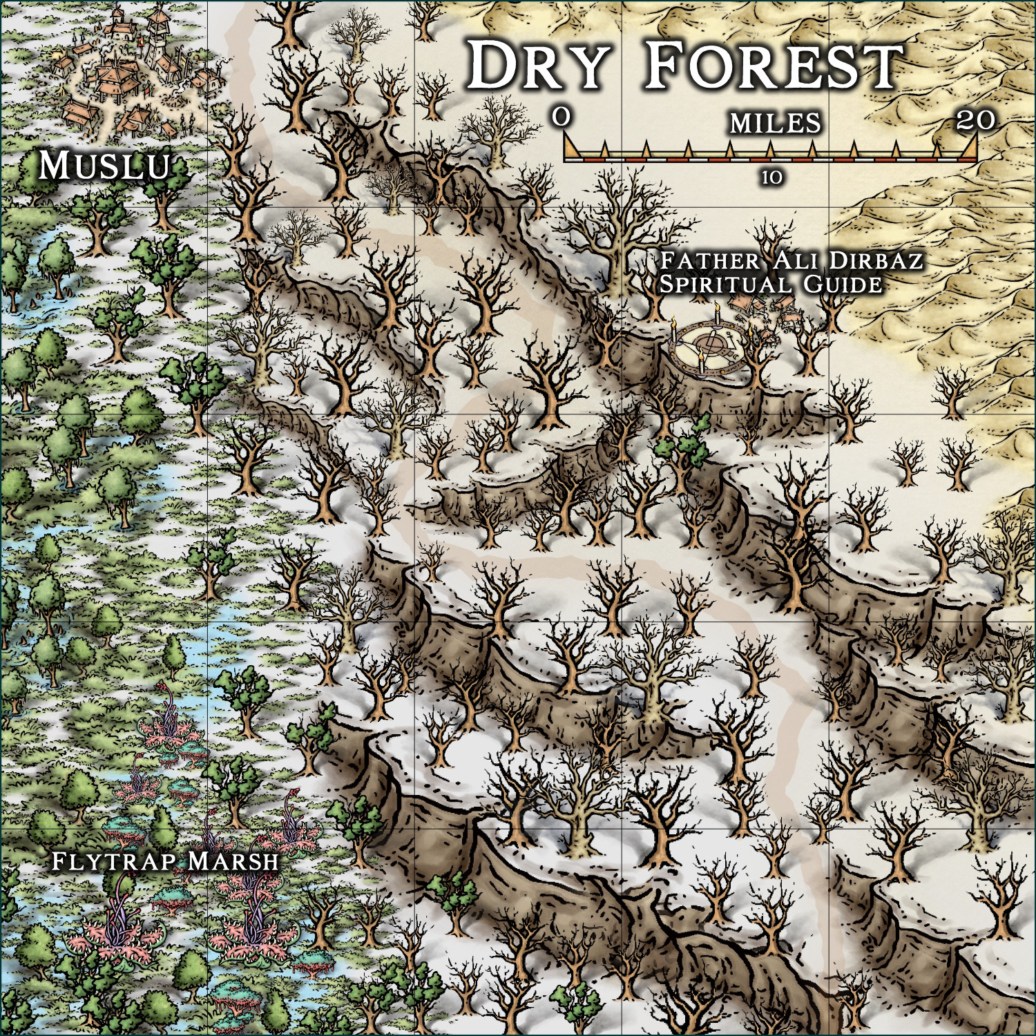 15 Dry Forest (Zaras Lake).JPG
