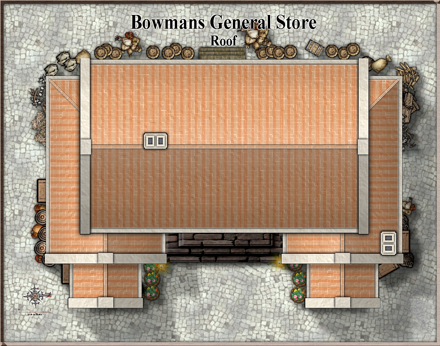 Bowmans General Store_Roof1.JPG