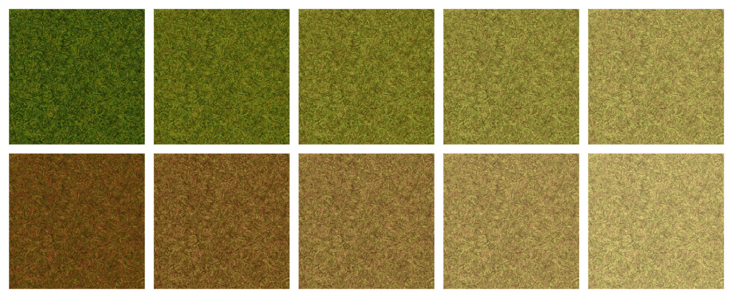 grass experiments.jpg