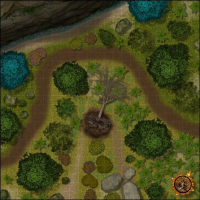 Maps for Random Forest Encs