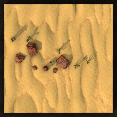 Th Dry Desert