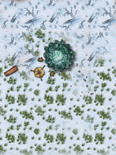 The Cold North
